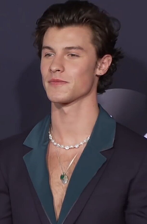 Shawn Mendes and Camila Cabello