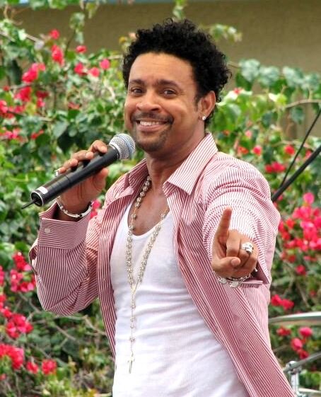 Shaggy featuring Rayvon